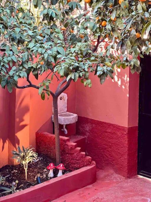 Zarlett House, Pazari Ri ,Villa With Garden,Parking Tirana Zewnętrze zdjęcie